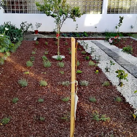 Apartman Era Uma Vez *