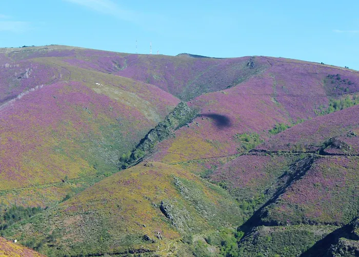 アパート Era Uma Vez ヴィラ・レアル